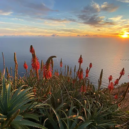 Harbour Sea View House Ferienhaus Funchal (Madeira)